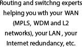 Routing and switchng experts helping you wth your  WAN (MPLS,  WDM and L2 networks), your LAN , your  Internet redundancy, etc.