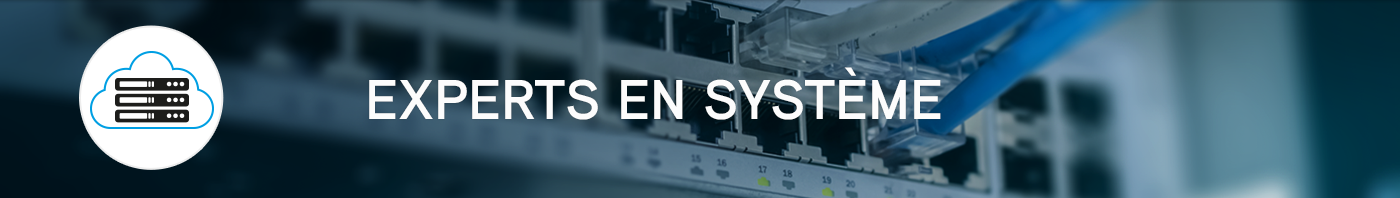 EXPERTS EN SYSTEME 